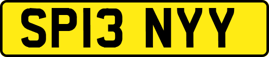 SP13NYY