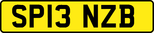 SP13NZB