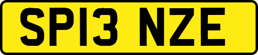 SP13NZE