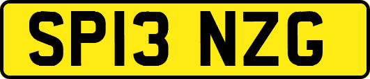 SP13NZG