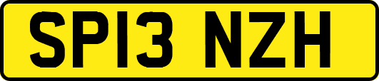 SP13NZH