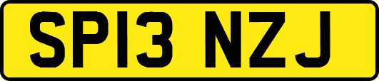 SP13NZJ