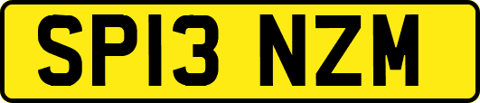 SP13NZM