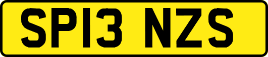 SP13NZS