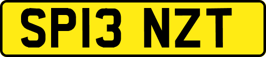 SP13NZT