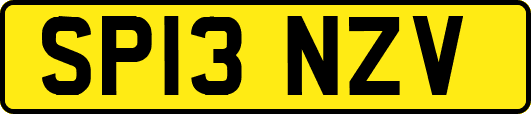 SP13NZV