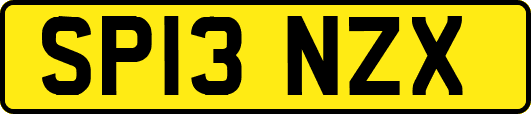 SP13NZX