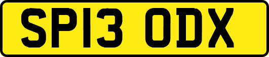 SP13ODX