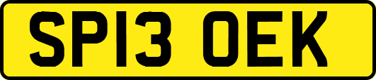 SP13OEK