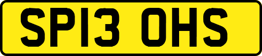 SP13OHS