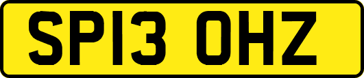 SP13OHZ