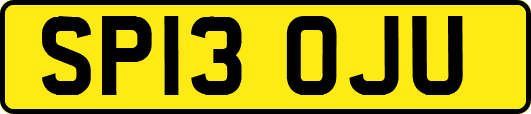 SP13OJU