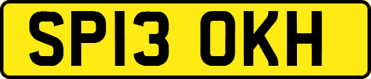 SP13OKH