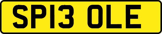 SP13OLE