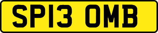 SP13OMB