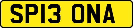 SP13ONA