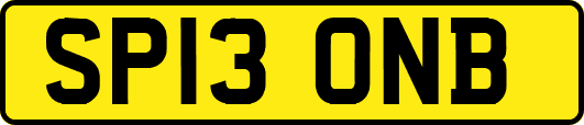 SP13ONB