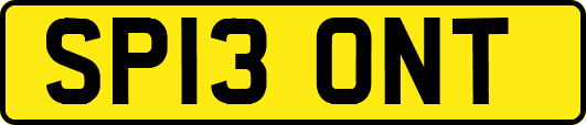 SP13ONT