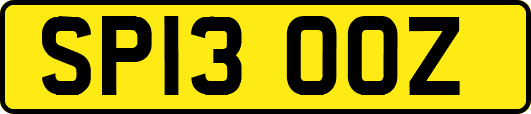 SP13OOZ