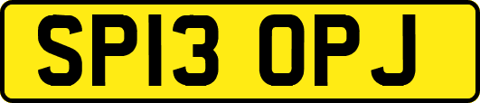 SP13OPJ