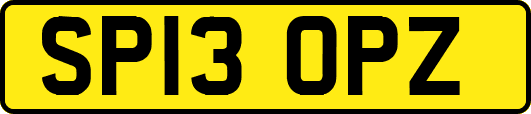 SP13OPZ