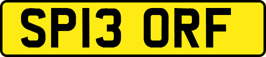 SP13ORF