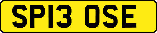 SP13OSE