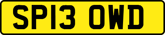 SP13OWD