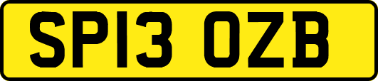 SP13OZB