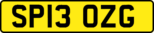 SP13OZG
