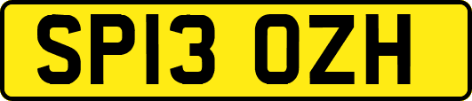 SP13OZH