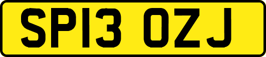 SP13OZJ