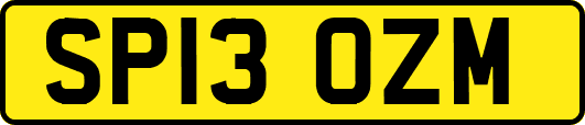 SP13OZM
