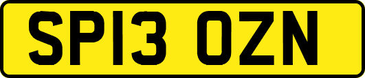 SP13OZN