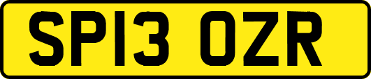 SP13OZR