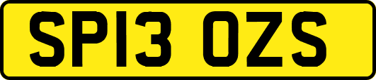 SP13OZS