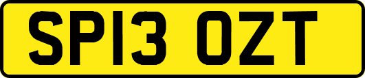 SP13OZT