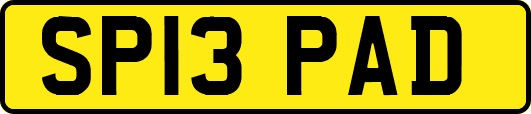 SP13PAD