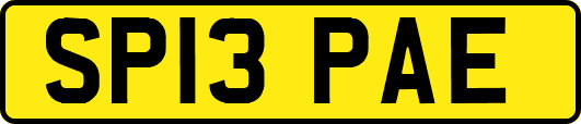 SP13PAE