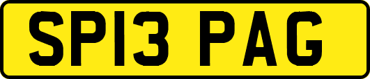 SP13PAG