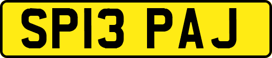 SP13PAJ