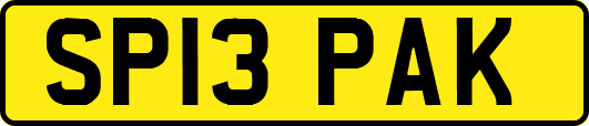 SP13PAK