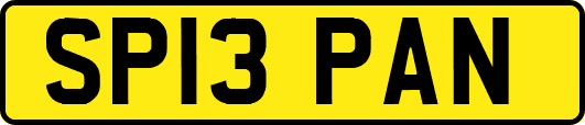 SP13PAN