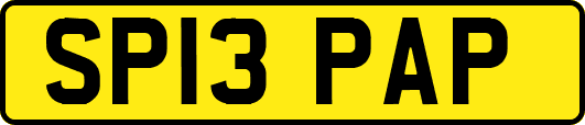 SP13PAP