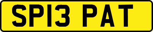 SP13PAT