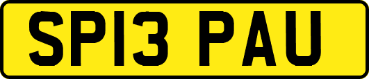 SP13PAU
