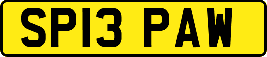 SP13PAW