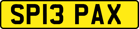 SP13PAX