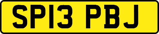 SP13PBJ
