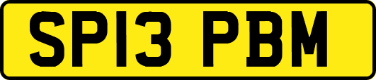 SP13PBM